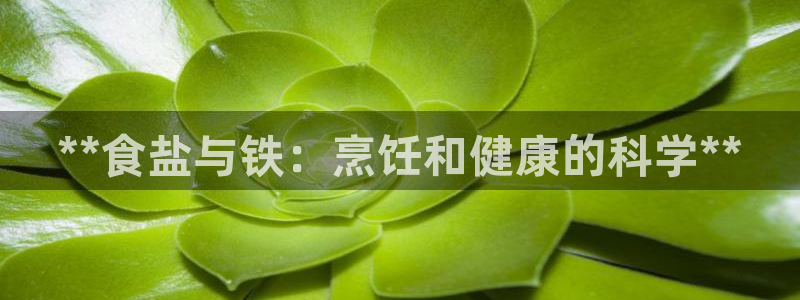 威九国际免费网络站