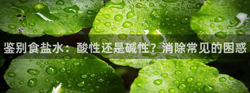 威九国际男主