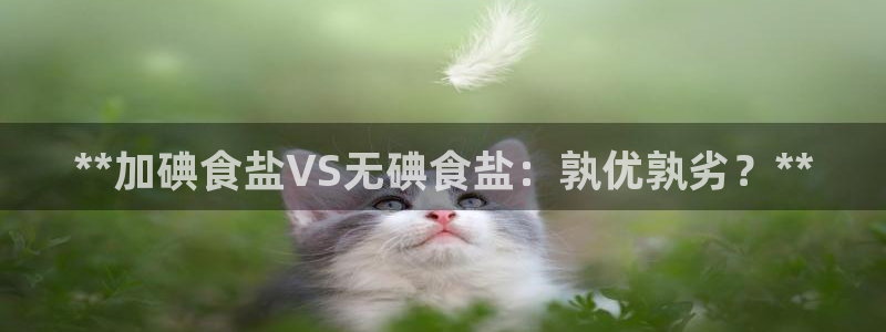 威九国际网站客服电话多少号