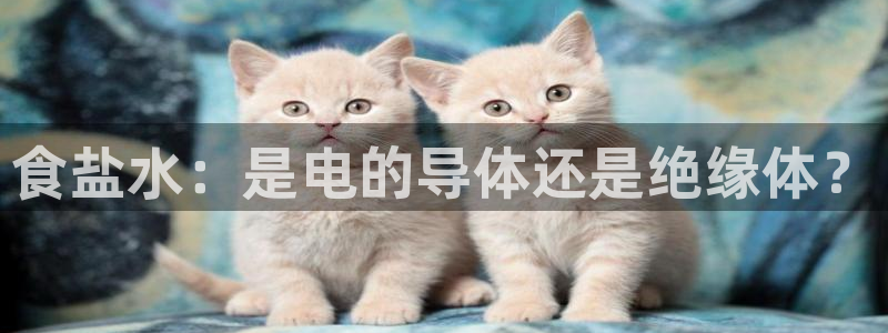 威九国际app网站官网