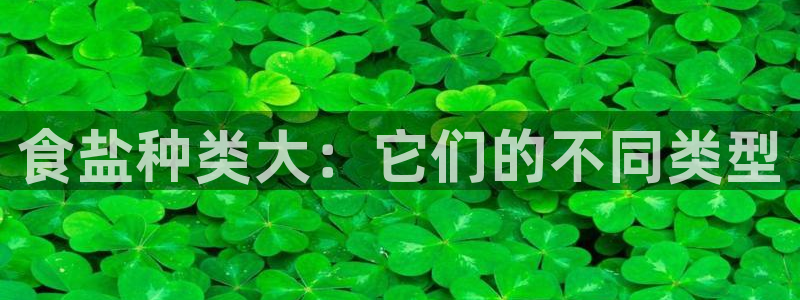 78mapp威九国际网