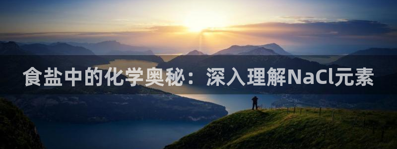 威九国际v96bet官网版