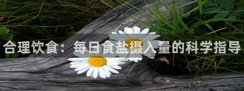 威九国际网站传媒招聘