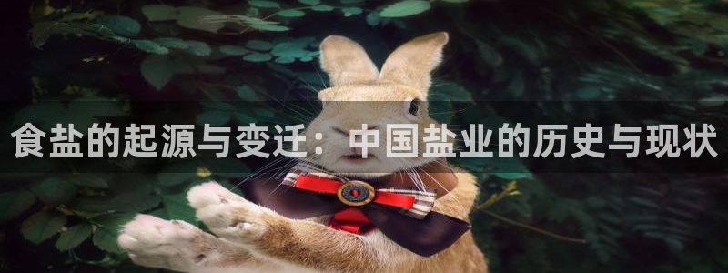威九国际AN