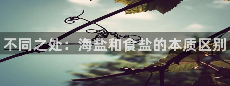 78mapp威九国际一