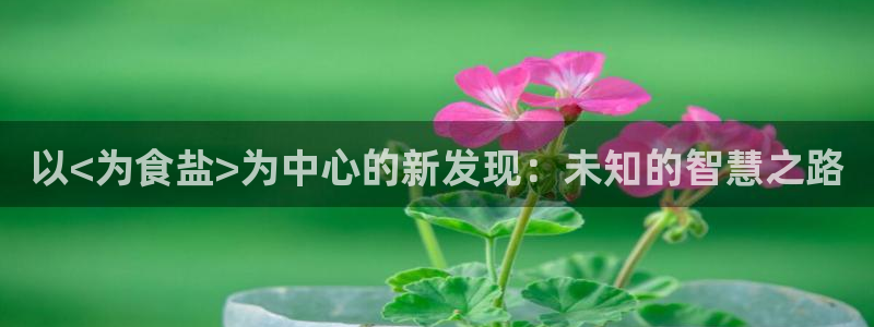 威九国际ppt免费