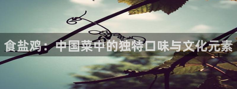 威九国际可以提现吗是真的吗