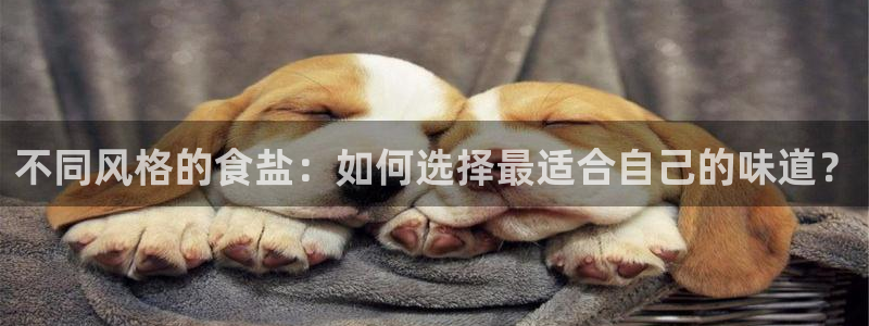 威九国际ppt免费