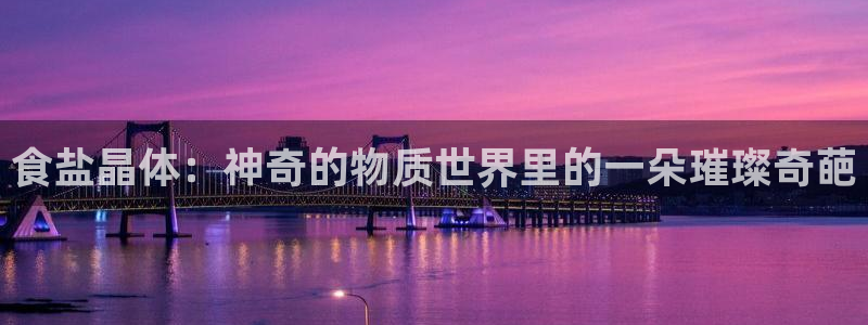 威九国际网站入口官网免费下载
