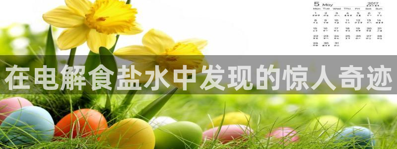 威九国际app客服电话