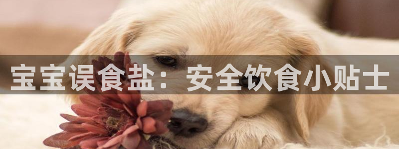 威九国际免费网络站