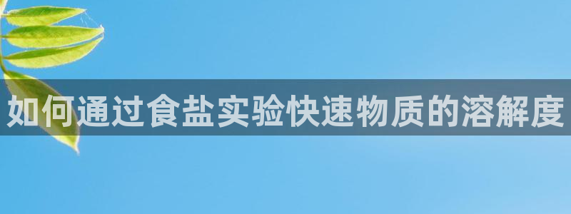 威九国际APP大全