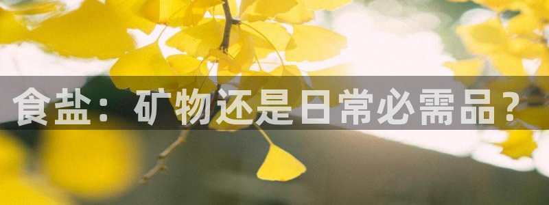 威九国际网站入口官网首页登录