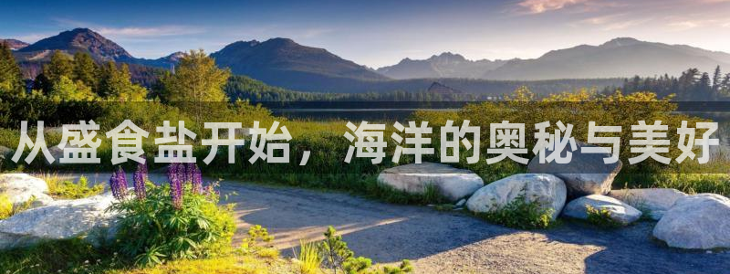 威九国际全国空降