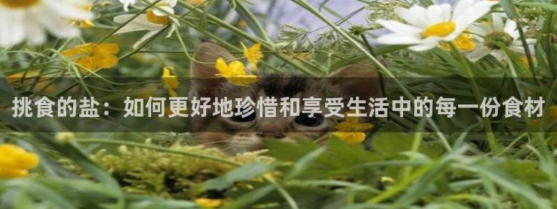 威九国际网站更新了吗