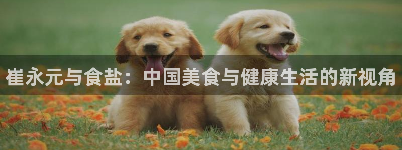 威九国际官网版下载