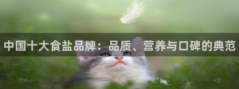 威九国际78m域名