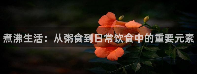 威九国际真人玩家在线对战