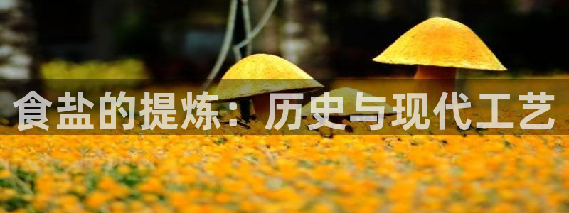 威九国际免费游戏