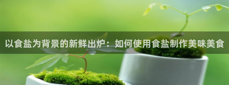 66m威九国际成长模式