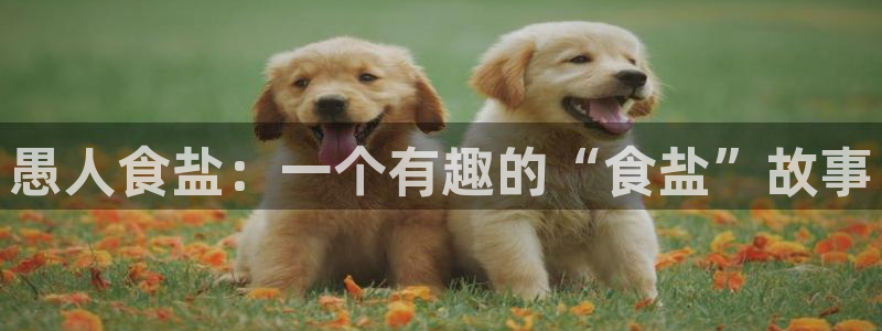 78mapp威九国际网