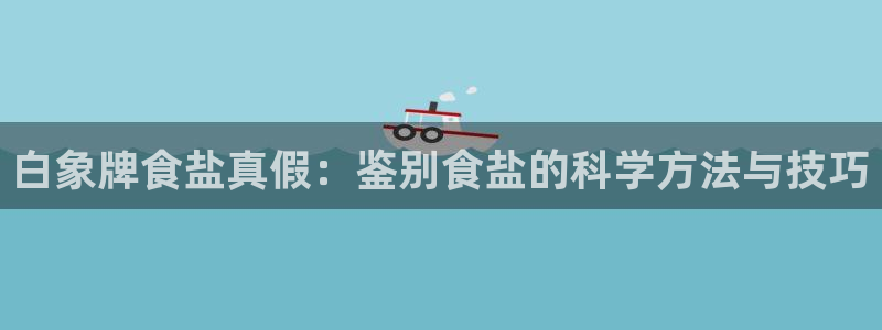 威九国际网站传媒招聘