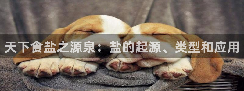 威九国际精选