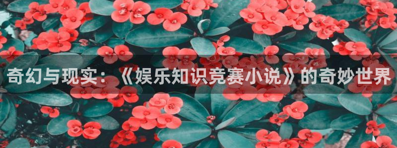 耽美小说推荐