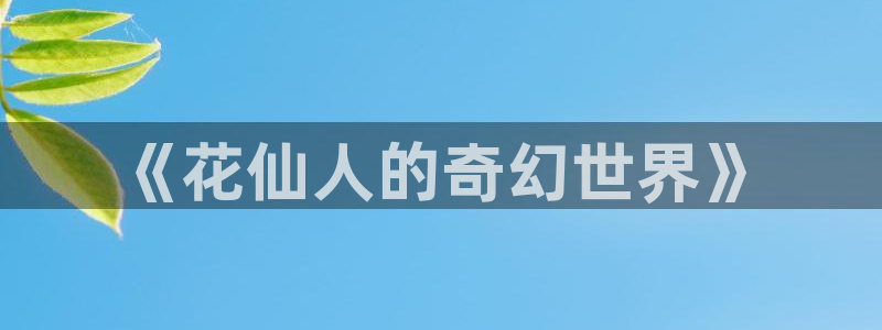 耽美小说阅读网