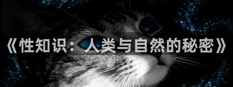 耽美小说app