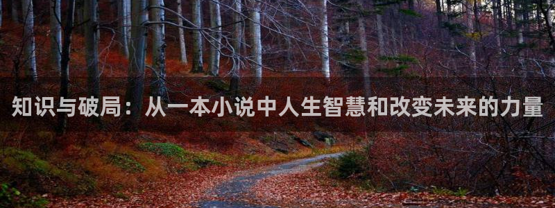 耽美小说阅读